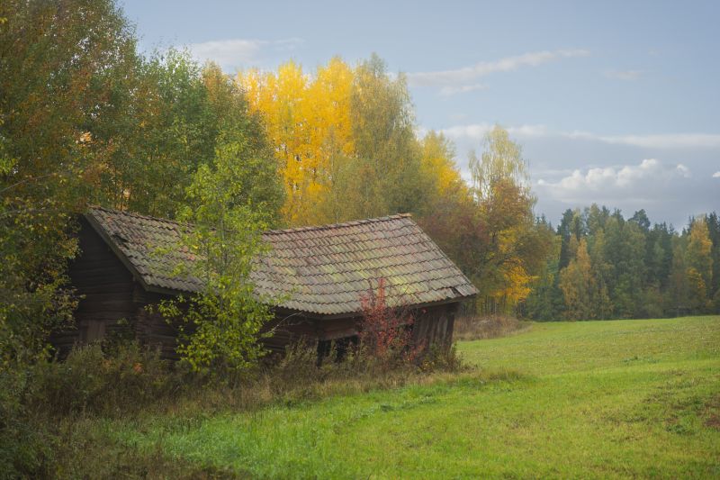 Autumn Upgrades