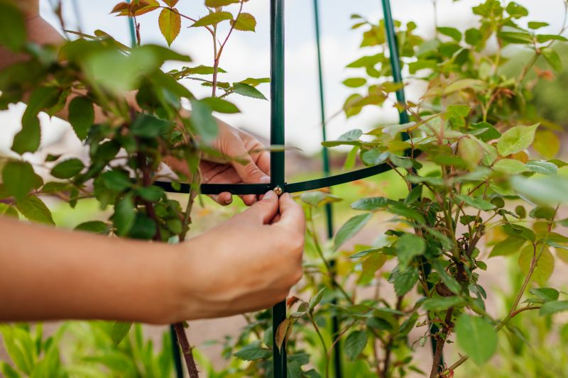Garden Trellis Installation in Wilmington, NC