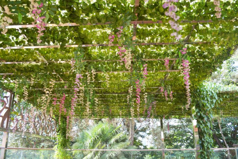 Grape Trellis Installation in Wilmington, NC