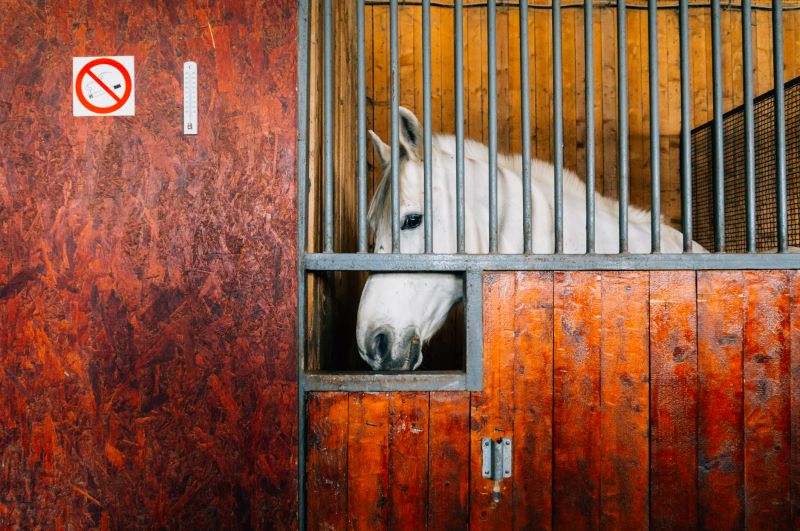 Horse Stall Repair in Wilmington, NC