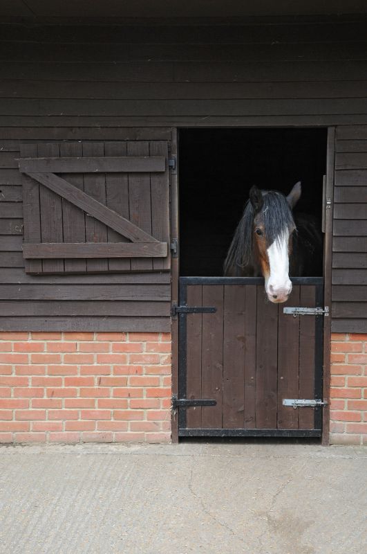 Horse Stall Repair in Conroe, TX