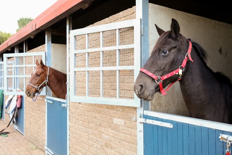Horse Stall Repair in Kansas City, KS