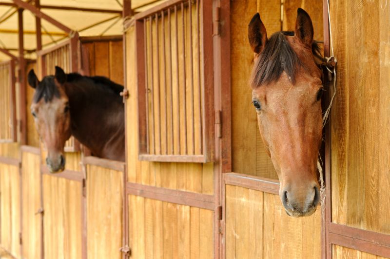 Horse Stall Repair in Kansas City, KS