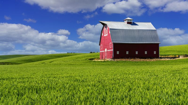 Livestock Barn Construction in Kansas City, KS