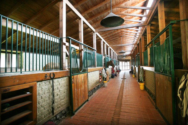 Livestock Barn Construction in Conroe, TX