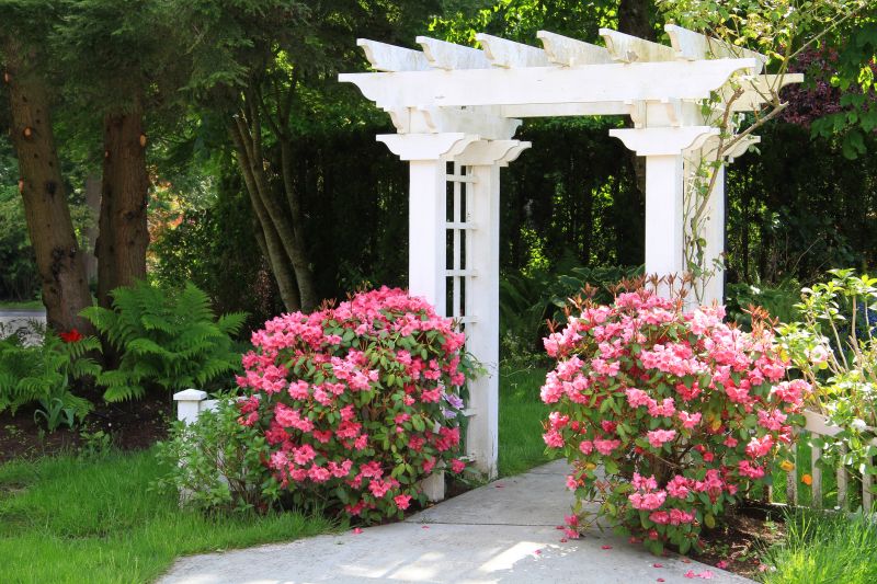 Privacy Arbor Installation in Wilmington, NC