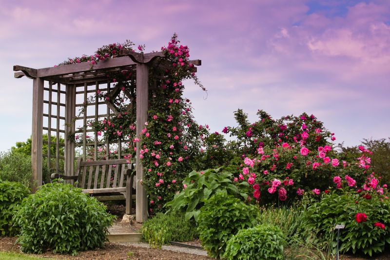 Rose Trellis Installation in Wilmington, NC