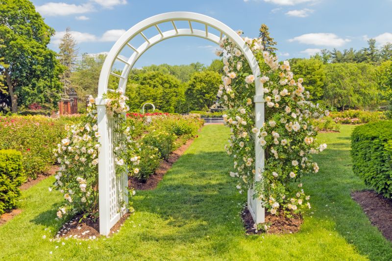 Rose Trellis Installation in Kansas City, KS