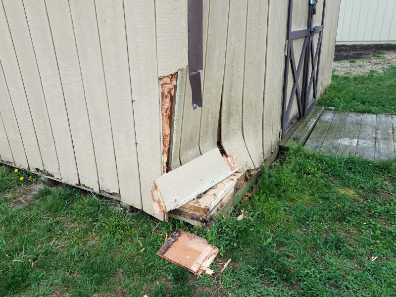 Shed Repair in Conroe, TX