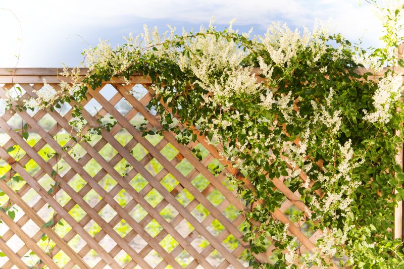 Trellis Construction in Kansas City, KS
