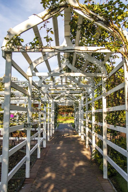 Trellis Construction in Kansas City, KS