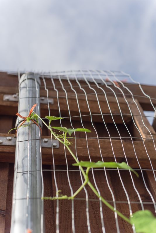 Trellis Construction in Wilmington, NC