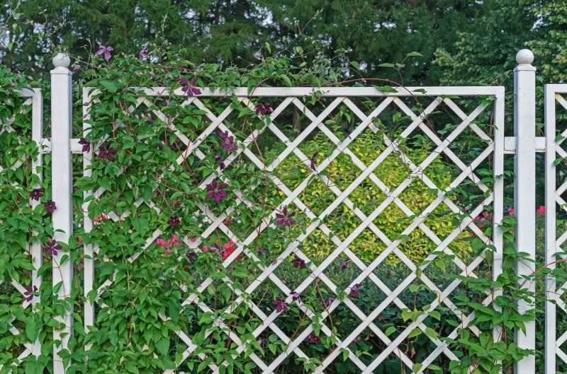 Vineyard Trellis Installation in Conroe, TX