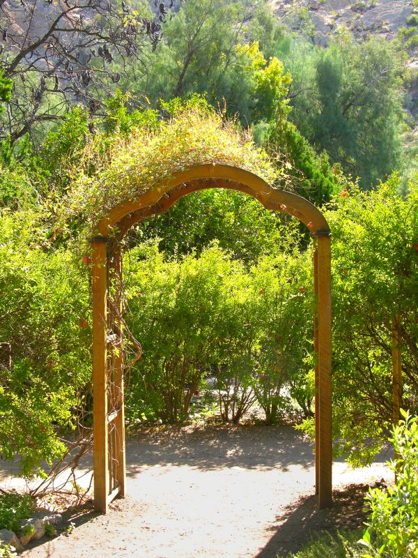 Wood Arbor Construction in Conroe, TX
