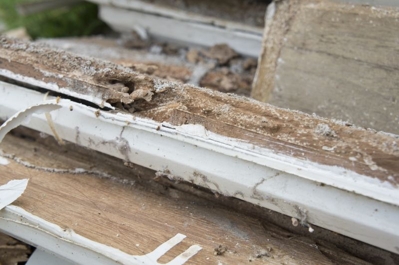 Wood Rot And Moisture Damage In Outdoor Structures